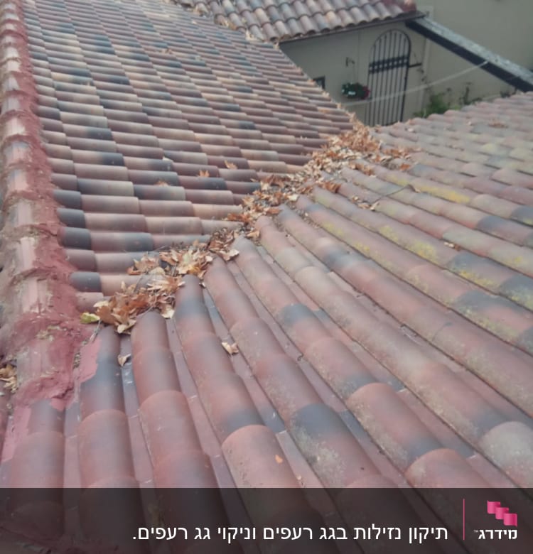 גג רעפים עם עלים יבשים בין הרעפים